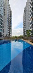 A Treasure Trove (D19), Condominium #479783961